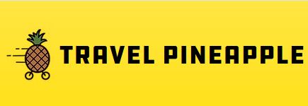 RSVCA2 Travel Pineapple